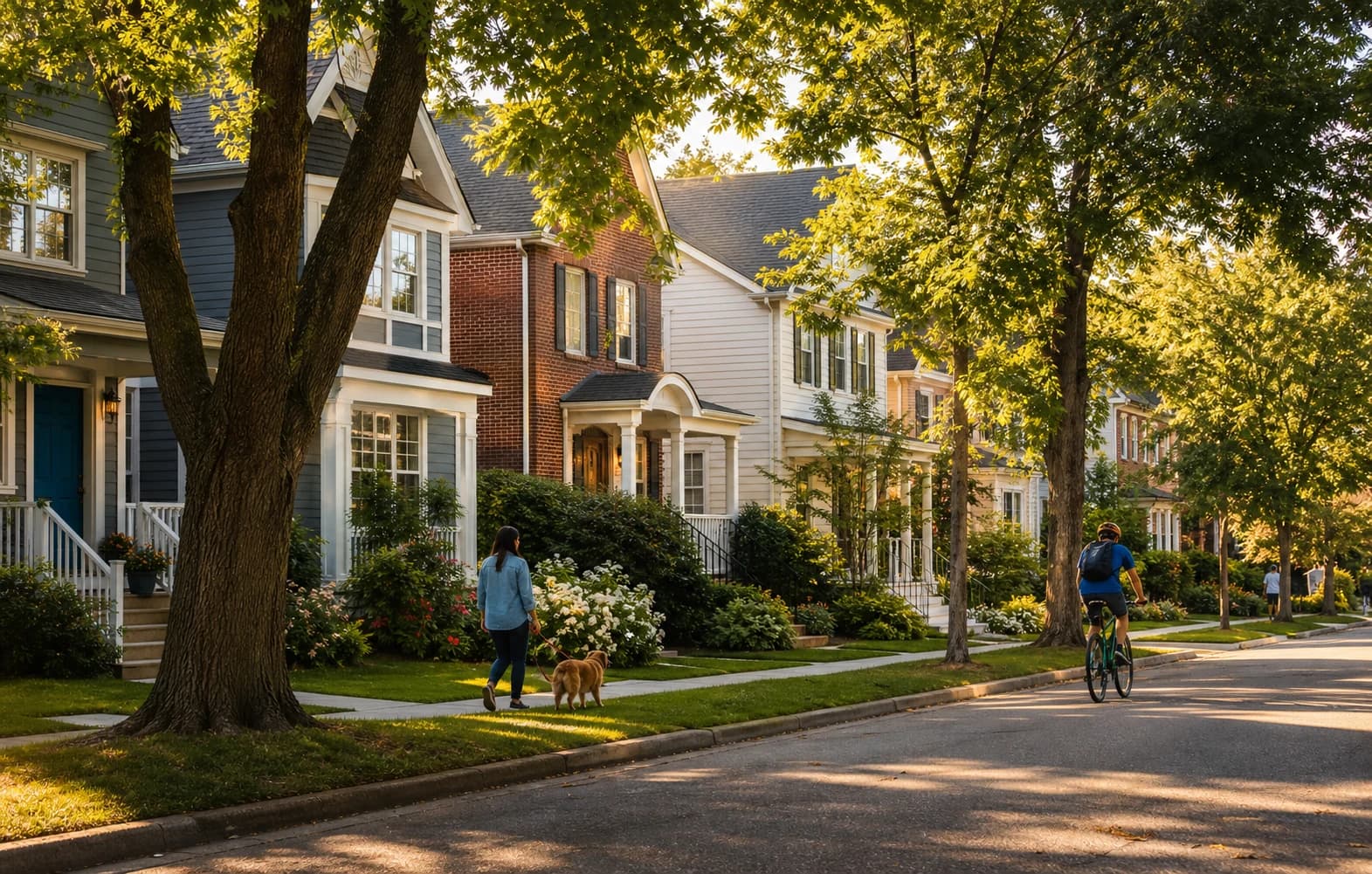 Tree-lined neighborhood